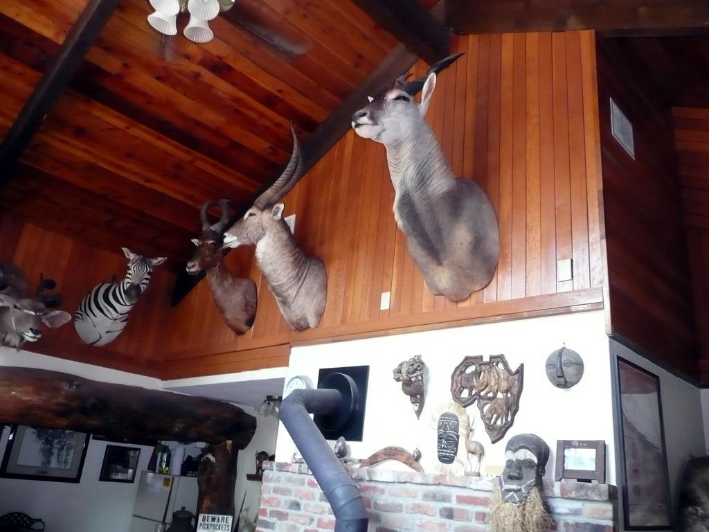Grangeville Whitebird Summit Lodge מראה חיצוני תמונה