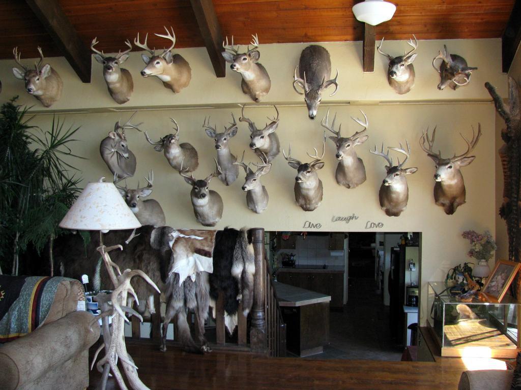 Grangeville Whitebird Summit Lodge מראה חיצוני תמונה