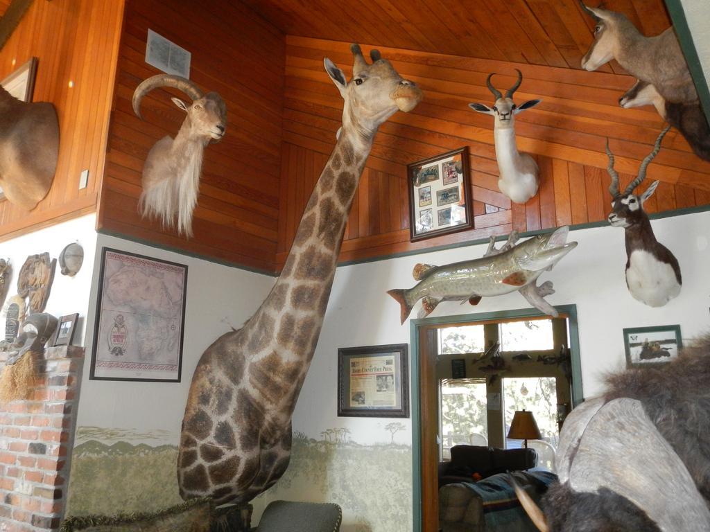 Grangeville Whitebird Summit Lodge מראה חיצוני תמונה